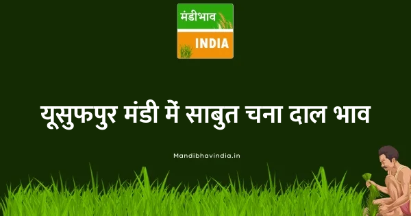 bengal gram whole भाव